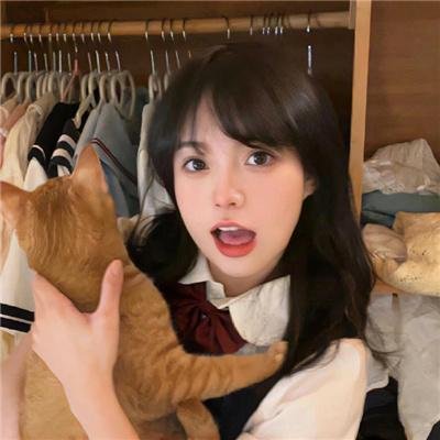 粪作